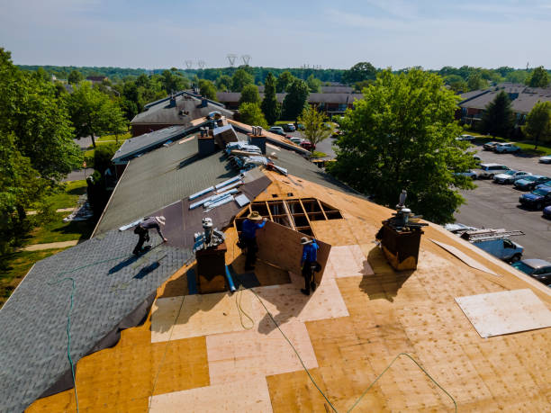 Best Storm Damage Roof Repair  in Oakwood, GA