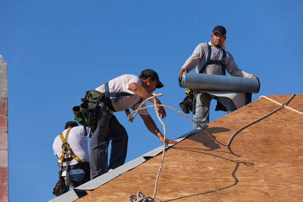 Best Shingle Roofing Installation  in Oakwood, GA